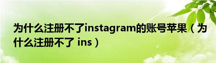 為什么注冊不了instagram的賬號蘋果（為什么注冊不了 ins）