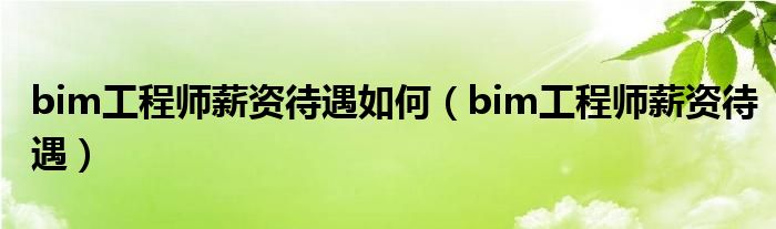 bim工程師薪資待遇如何（bim工程師薪資待遇）