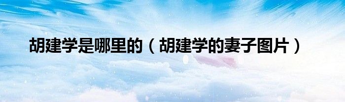 胡建學(xué)是哪里的（胡建學(xué)的妻子圖片）