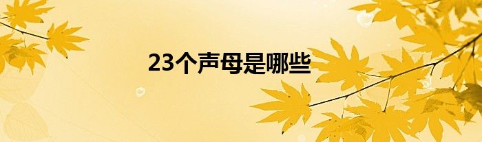 23個聲母是哪些