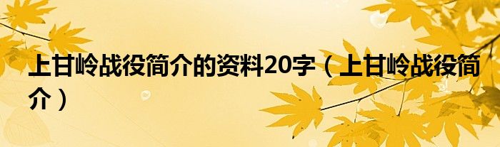 上甘嶺戰(zhàn)役簡介的資料20字（上甘嶺戰(zhàn)役簡介）