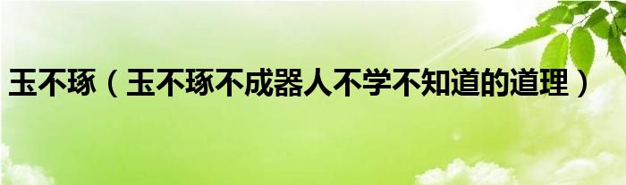 玉不琢（玉不琢不成器人不學(xué)不知道的道理）