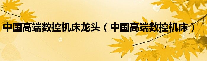 中國高端數(shù)控機(jī)床龍頭（中國高端數(shù)控機(jī)床）