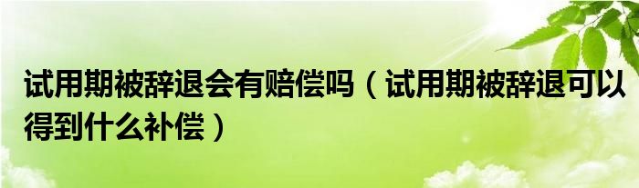 試用期被辭退會有賠償嗎（試用期被辭退可以得到什么補(bǔ)償）