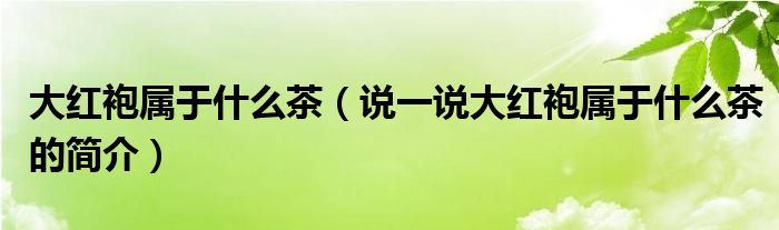 大紅袍屬于什么茶（說(shuō)一說(shuō)大紅袍屬于什么茶的簡(jiǎn)介）