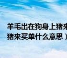 羊毛出在狗身上豬來買單什么意思的感悟（羊毛出在狗身上豬來買單什么意思）