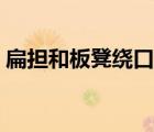 扁擔(dān)和板凳繞口令配圖（扁擔(dān)和板凳繞口令）