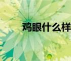 雞眼什么樣子算好（雞眼什么樣的）
