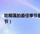 吃榴蓮的最佳季節(jié)是什么時(shí)候（吃榴蓮的最佳時(shí)間是什么季節(jié)）