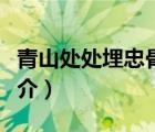青山處處埋忠骨（說(shuō)一說(shuō)青山處處埋忠骨的簡(jiǎn)介）
