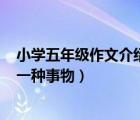 小學(xué)五年級作文介紹一種事物200字（小學(xué)五年級作文介紹一種事物）