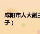 咸陽市人大副主任王靖出事了（王靖是誰的兒子）