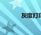灰度打印省墨嗎（灰度打?。?/>
                                    </a>
                                                </div>
                                    <div   id=