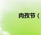 肉孜節(jié)（說(shuō)一說(shuō)肉孜節(jié)的簡(jiǎn)介）