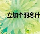 立加個(gè)羽念什么拼音（立加個(gè)羽念什么）