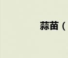 蒜苗（說(shuō)一說(shuō)蒜苗的簡(jiǎn)介）