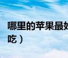 哪里的蘋果最好吃又脆又甜（哪里的蘋果最好吃）