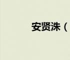安賢洙（說一說安賢洙的簡介）