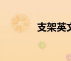 支架英文怎么說（支架英文）