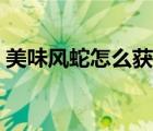 美味風(fēng)蛇怎么獲得（美味風(fēng)蛇哪里掉率最高）