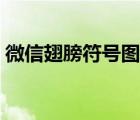 微信翅膀符號圖案大全（翅膀符號圖案大全）
