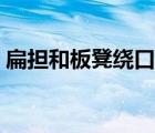 扁擔(dān)和板凳繞口令圖片（扁擔(dān)和板凳繞口令）