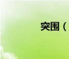 突圍（說一說突圍的簡介）