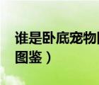 誰是臥底寵物圖鑒最新2021（誰是臥底寵物圖鑒）