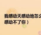 我感動(dòng)天感動(dòng)地怎么感動(dòng)不了你原唱（我感動(dòng)天感動(dòng)地怎么感動(dòng)不了你）