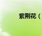 紫荊花（說一說紫荊花的簡介）