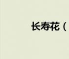長壽花（說一說長壽花的簡介）