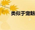 類(lèi)似于寵魅（類(lèi)似寵魅的寵物小說(shuō)）
