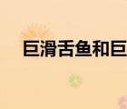 巨滑舌魚和巨古蛇魚的區(qū)別（巨滑舌魚）