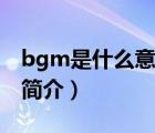 bgm是什么意思（說(shuō)一說(shuō)bgm是什么意思的簡(jiǎn)介）