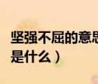 堅(jiān)強(qiáng)不屈的意思是什么生肖（堅(jiān)強(qiáng)不屈的意思是什么）