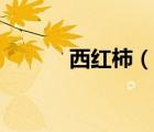 西紅柿（說一說西紅柿的簡介）