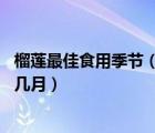 榴蓮最佳食用季節(jié)（榴蓮什么季節(jié)吃最好 榴蓮成熟的季節(jié)是幾月）