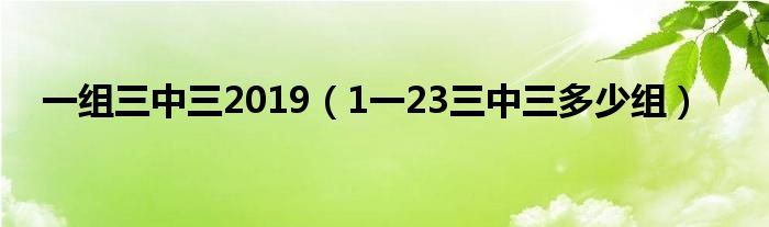 一組三中三2019（1一23三中三多少組）