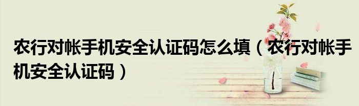 農(nóng)行對帳手機安全認證碼怎么填（農(nóng)行對帳手機安全認證碼）