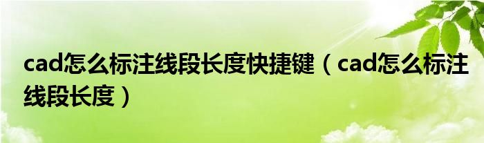 cad怎么標(biāo)注線段長度快捷鍵（cad怎么標(biāo)注線段長度）