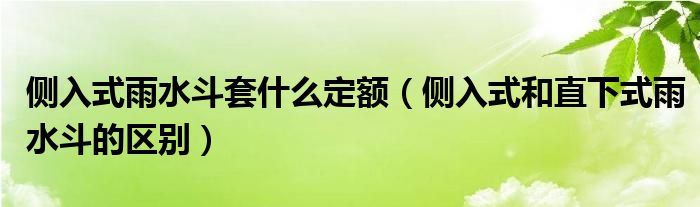 側(cè)入式雨水斗套什么定額（側(cè)入式和直下式雨水斗的區(qū)別）