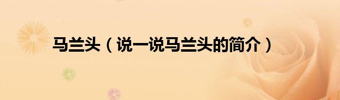 馬蘭頭（說一說馬蘭頭的簡(jiǎn)介）