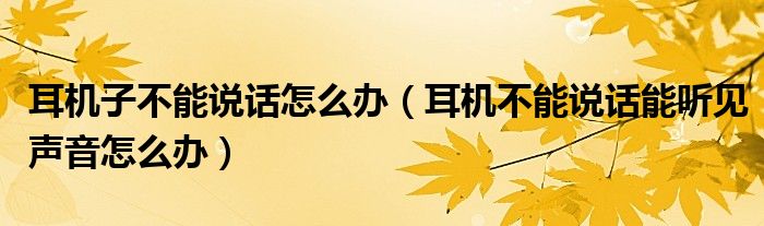 耳機(jī)子不能說話怎么辦（耳機(jī)不能說話能聽見聲音怎么辦）