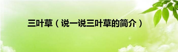 三葉草（說(shuō)一說(shuō)三葉草的簡(jiǎn)介）