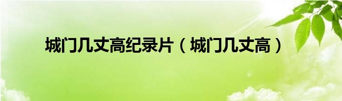 城門幾丈高紀錄片（城門幾丈高）