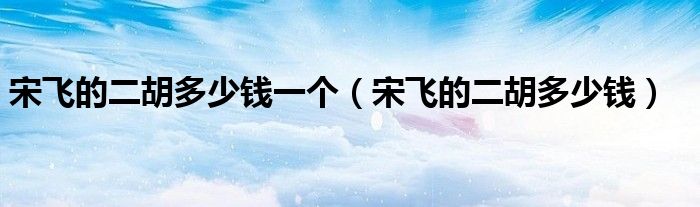 宋飛的二胡多少錢一個(gè)（宋飛的二胡多少錢）