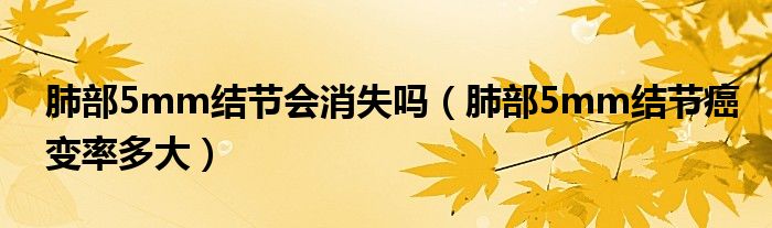 肺部5mm結(jié)節(jié)會消失嗎（肺部5mm結(jié)節(jié)癌變率多大）