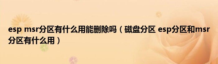 esp msr分區(qū)有什么用能刪除嗎（磁盤(pán)分區(qū) esp分區(qū)和msr分區(qū)有什么用）
