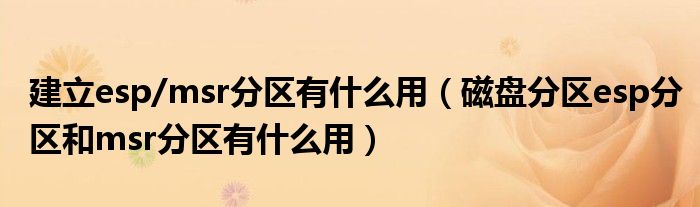 建立esp/msr分區(qū)有什么用（磁盤分區(qū)esp分區(qū)和msr分區(qū)有什么用）