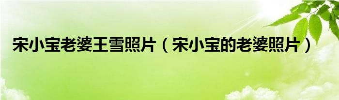 宋小寶老婆王雪照片（宋小寶的老婆照片）